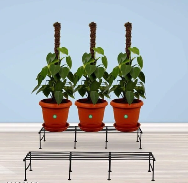  Iron  Planter Stand It is very light in weight and so it can be moved easily as per your needs -  Free Size, Black, Iron,  Pack of 2